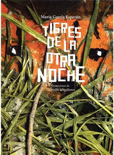 Tigres de la otra noche