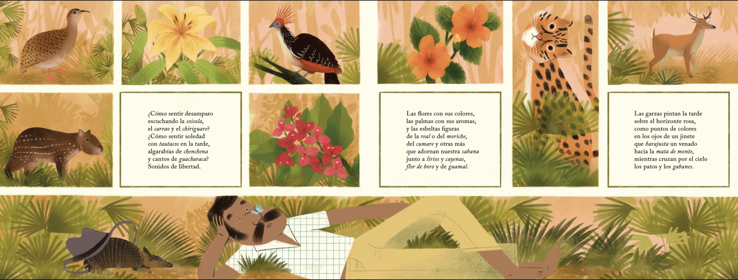 Llano - Imagen 4