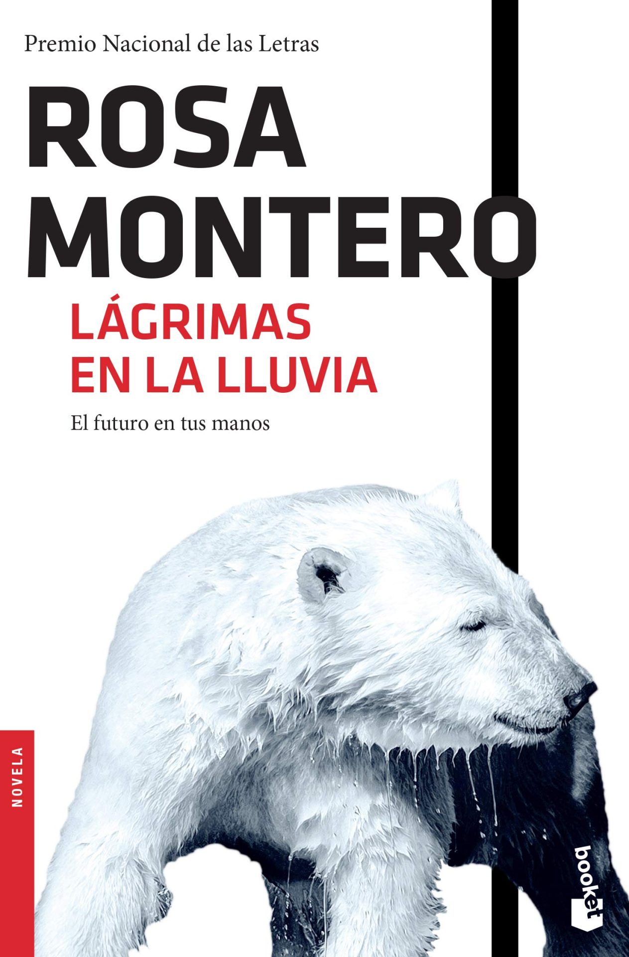 Lágrimas en la lluvia