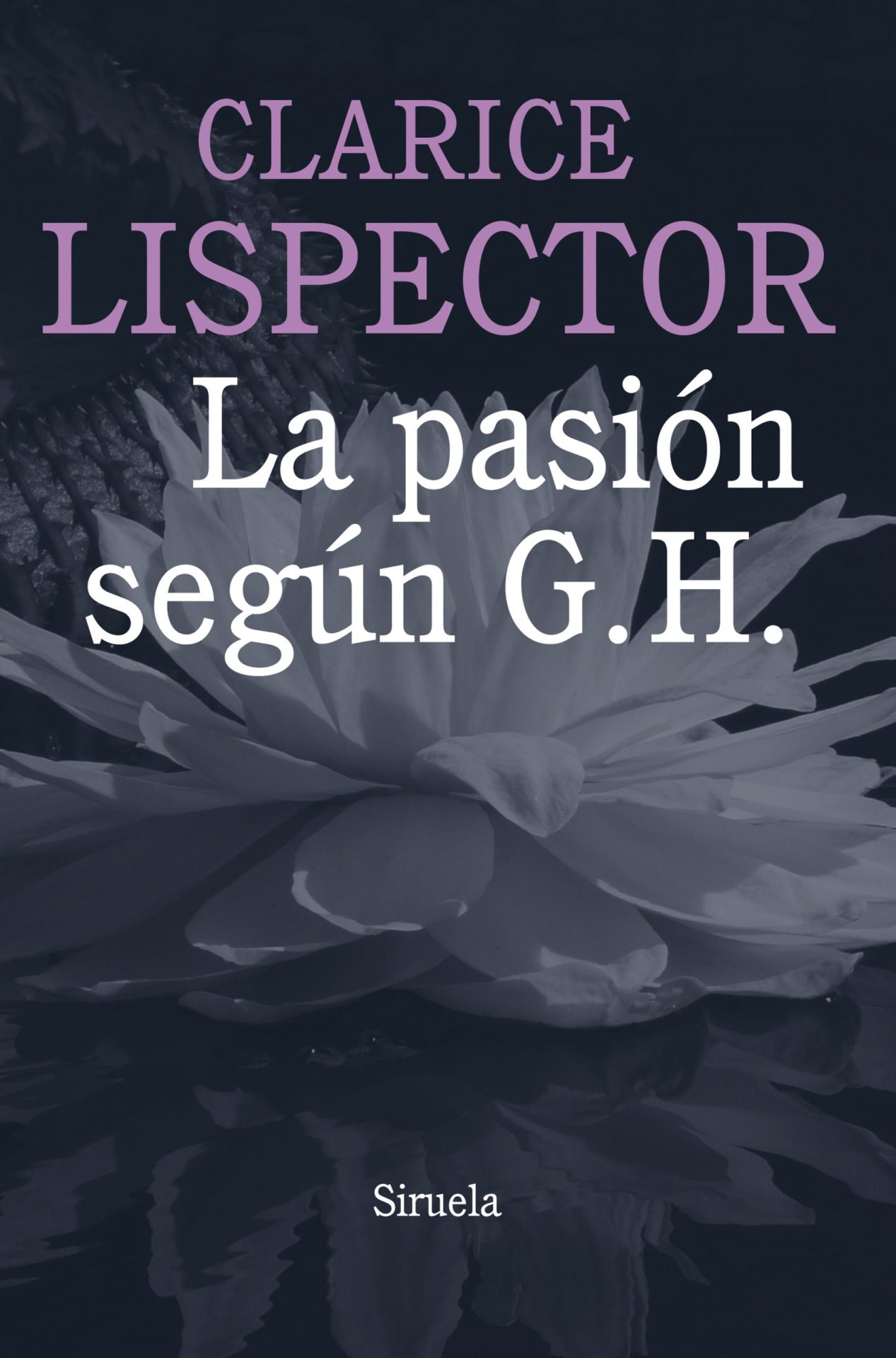 La pasion segun G.H.