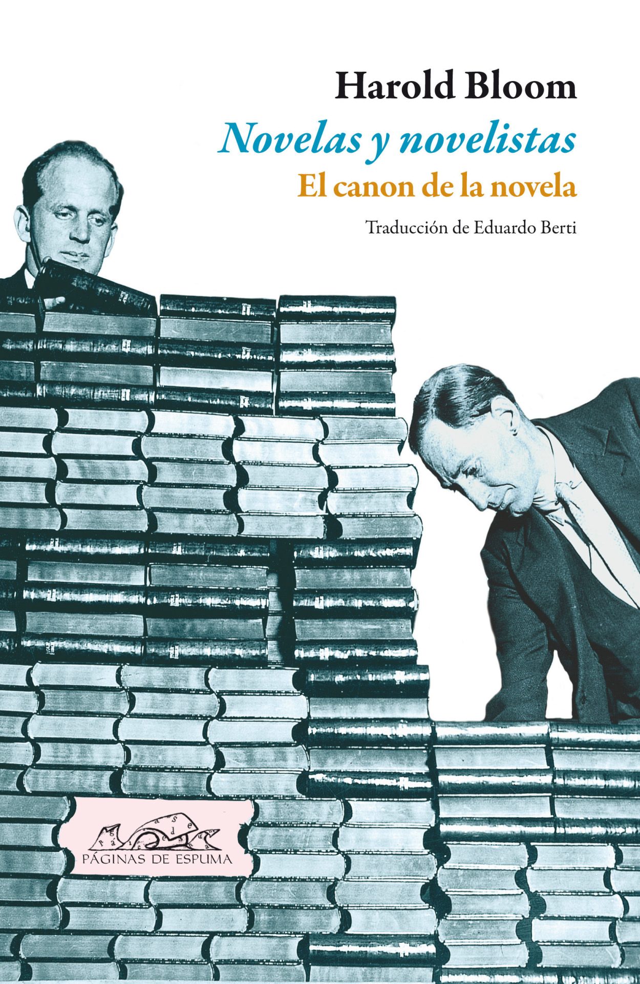 Novelas y novelistas. El canon de la novela