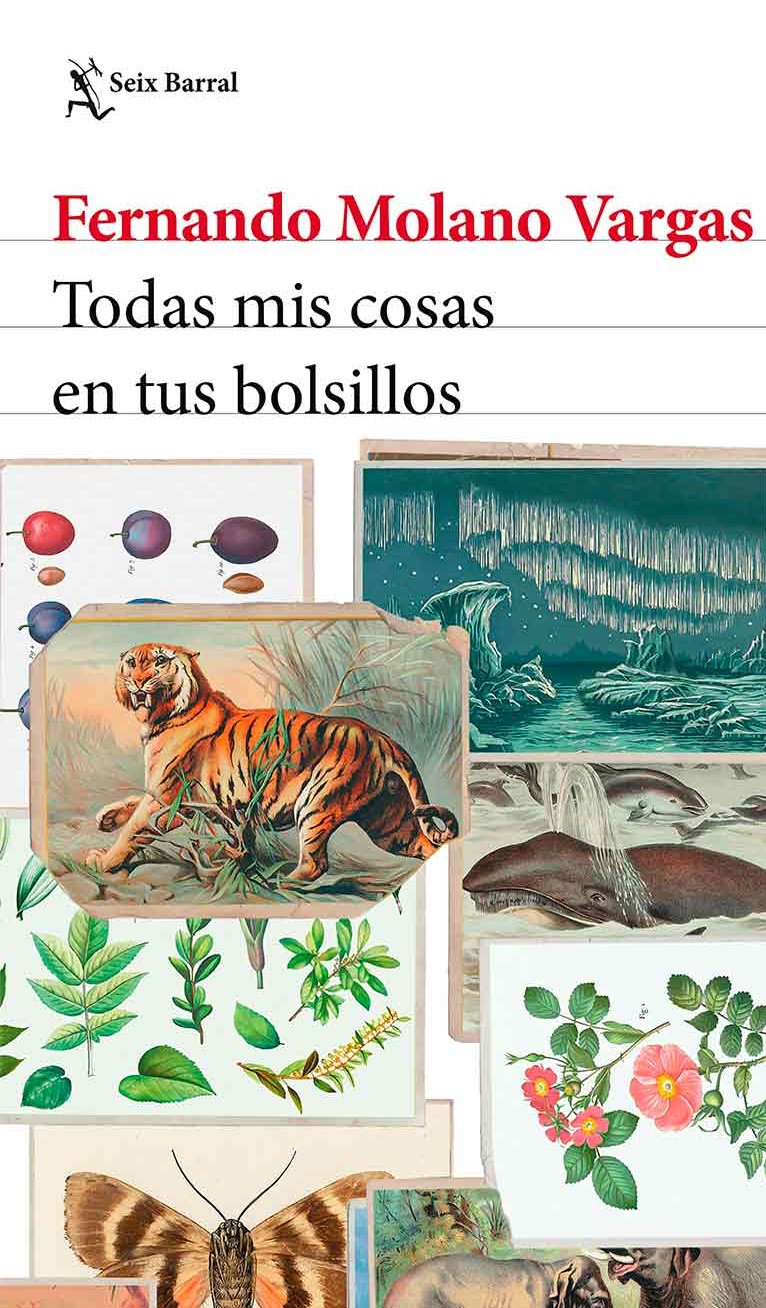 Todas mis cosas en tus bolsillos